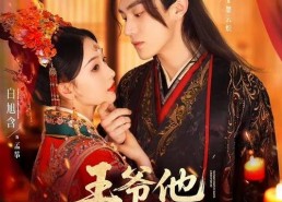 王爷他每天都想抢亲