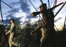 偷猎者,揭秘偷猎者的黑暗世界