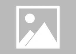 闪婚古代旺夫农女致富忙,致富之路步步生花